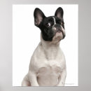 Search for 5 months posters Animal