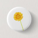 Search for gerberas badges Floral