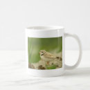 Search for plover mugs Sandpiper