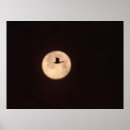 Search for full moon painting posters Evening