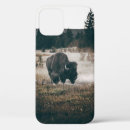 Search for bison electronics Landscape