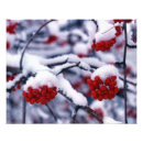 Search for cold season posters Frozen