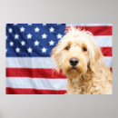 Search for goldendoodle art Animal