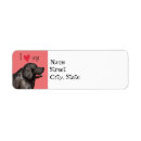 Search for newfoundland dog return address labels Newfie