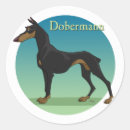 Search for dobermann stickers Dog