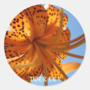Search for tiger lily stickers For her