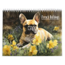 Search for french bulldog calendars Bulldogs