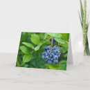 Search for ripe cards Fruit