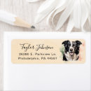 Search for border collie return address labels Watercolor