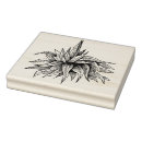 Search for plant rubber stamps Cactus