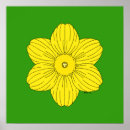 Search for daffodils posters Yellow daffodil