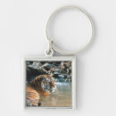 Search for water mammal key rings Nature