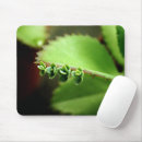 Search for zen garden electronics Nature