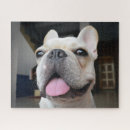 Search for face puzzles Canine