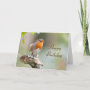 Search for erithacus Erithacus rubecula
