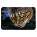 Search for green eyes magnets Adorable
