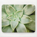 Search for succulent mousepads Photography