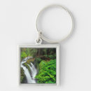 Search for sol key rings Landscape