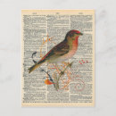 Search for pretty bird postcards Red