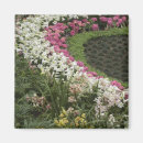 Search for rhododendrons magnets Garden