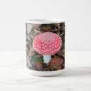 Search for amanita mugs Muscaria