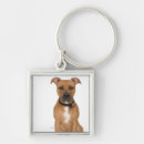 Search for pit bull key rings Canine