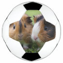 Search for baby soccer balls Animal
