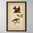 Search for ornithologist posters Ornithology