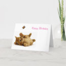 Search for cat cards Pet