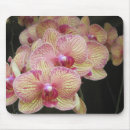Search for pink orchid mousepads Orchids