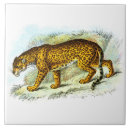 Search for animal jaguar tiles Jungle