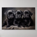 Search for black pug art Funny