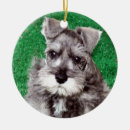 Search for miniature schnauzer dog christmas tree decorations Puppy