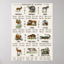 Search for french classes posters Vintage