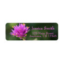 Search for summer return address labels Nature