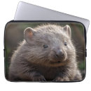 Search for buddies electronics Baby