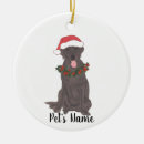 Search for chocolate brown christmas tree decorations Labrador