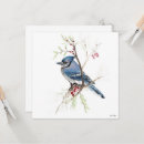 Search for blue jay cards Watercolor
