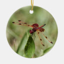 Search for dragonfly christmas decor Green