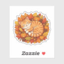 Search for kawaii orange stickers Laptop