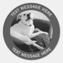 Search for dog photos stickers Photography