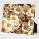 Search for daisies plaques Vintage
