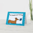 Search for dachsie cards Weiner