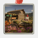 Search for british columbia christmas tree decorations Pumpkin
