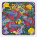 Search for red fish stickers Yellow