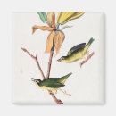 Search for flying birds magnets Wildlife