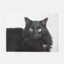 Search for cat halloween doormats Kitten