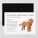 Search for a labradoodle invitations Puppy