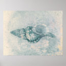 Search for vintage sea shells posters Nautical