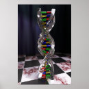 Search for dna posters Genetics